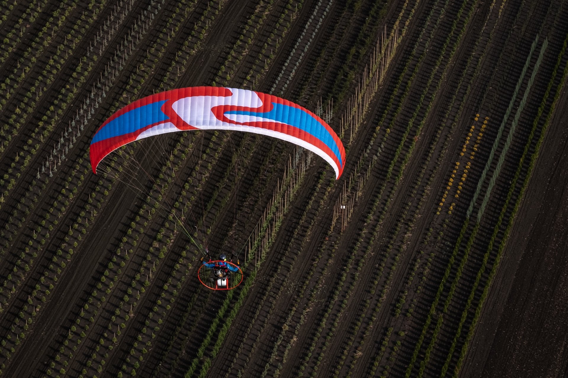 Z-BLADE PPG SKY PARAGLIDERS - Image 5