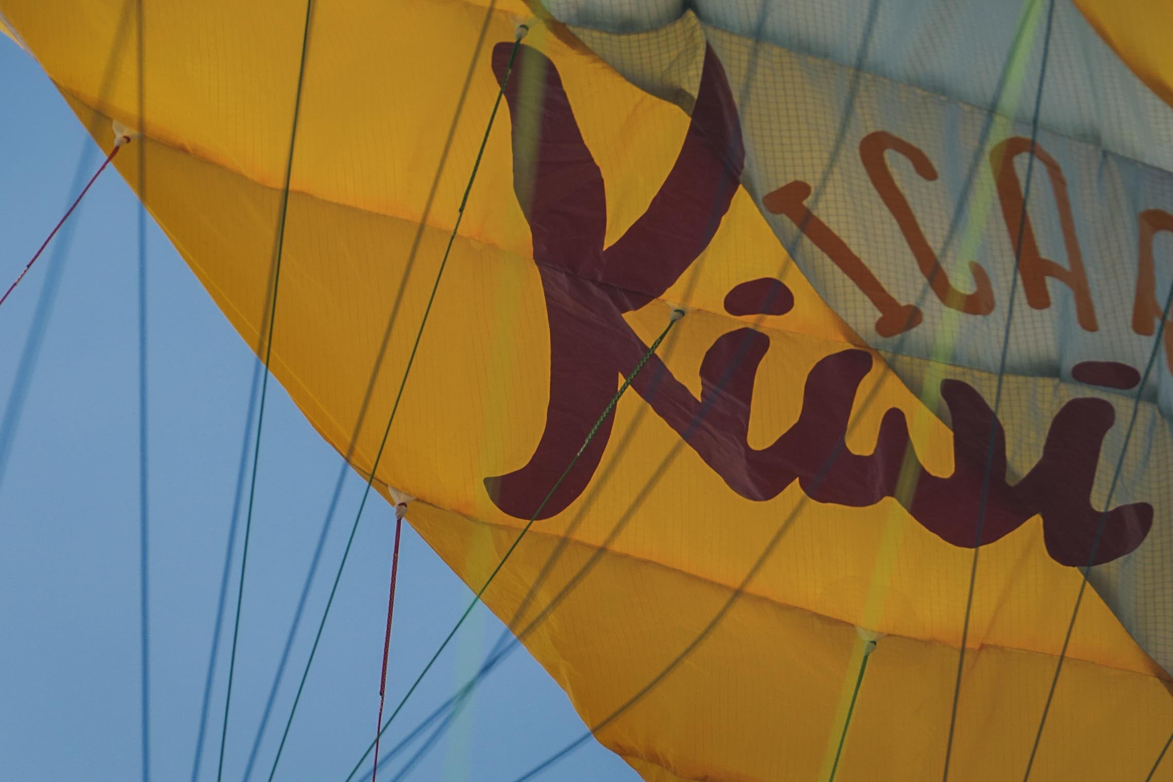 KIWI Icaro - Image 7