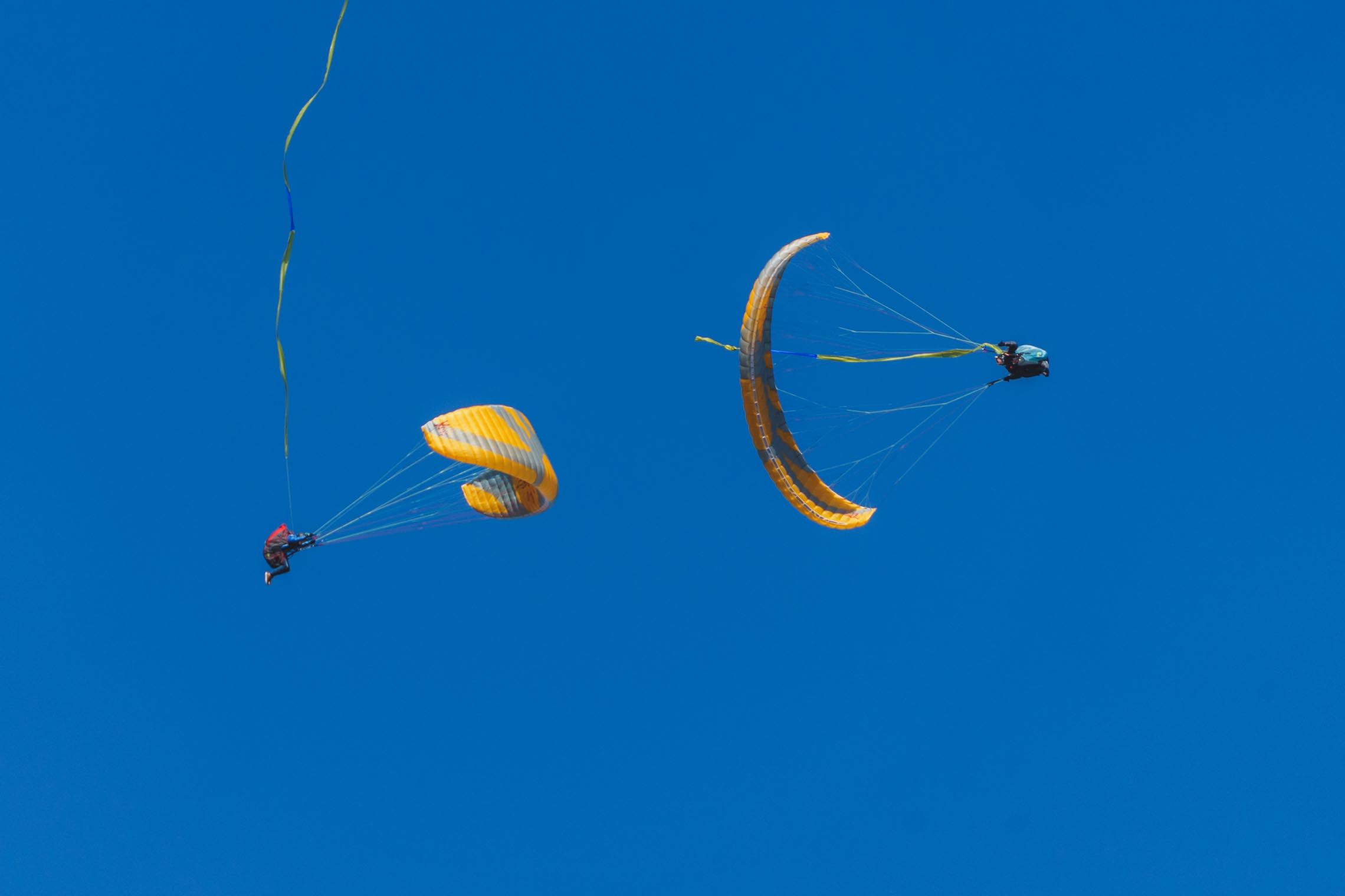 KIWI Icaro - Image 6