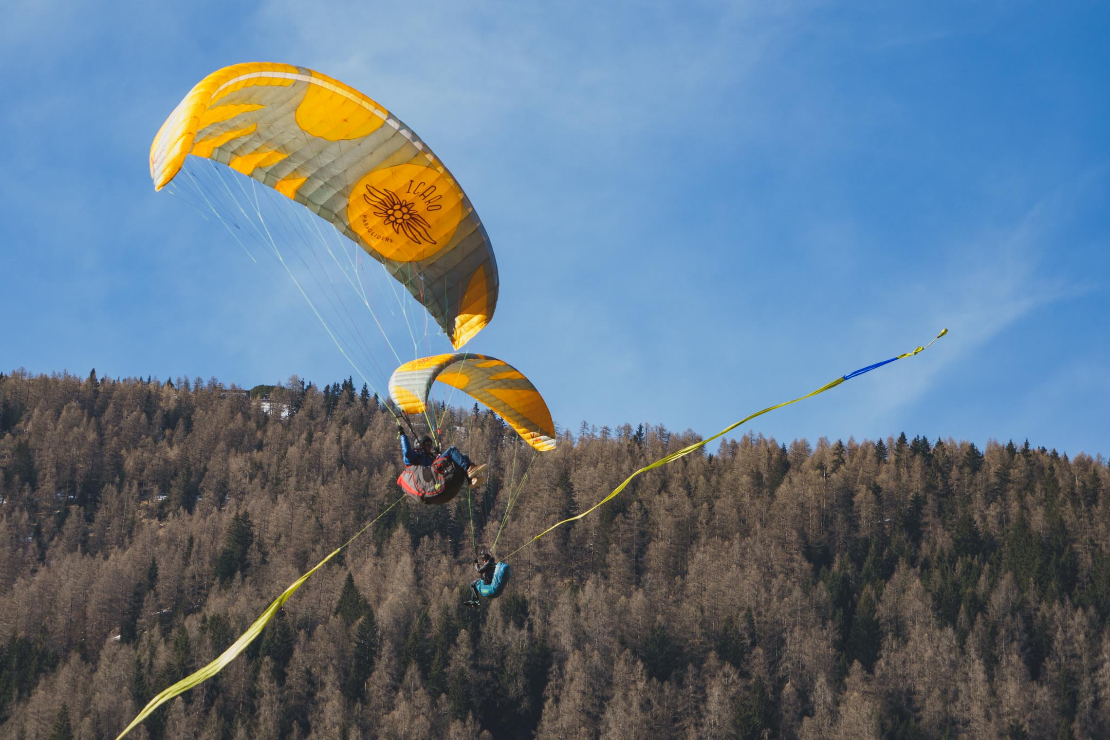 KIWI Icaro - Image 2