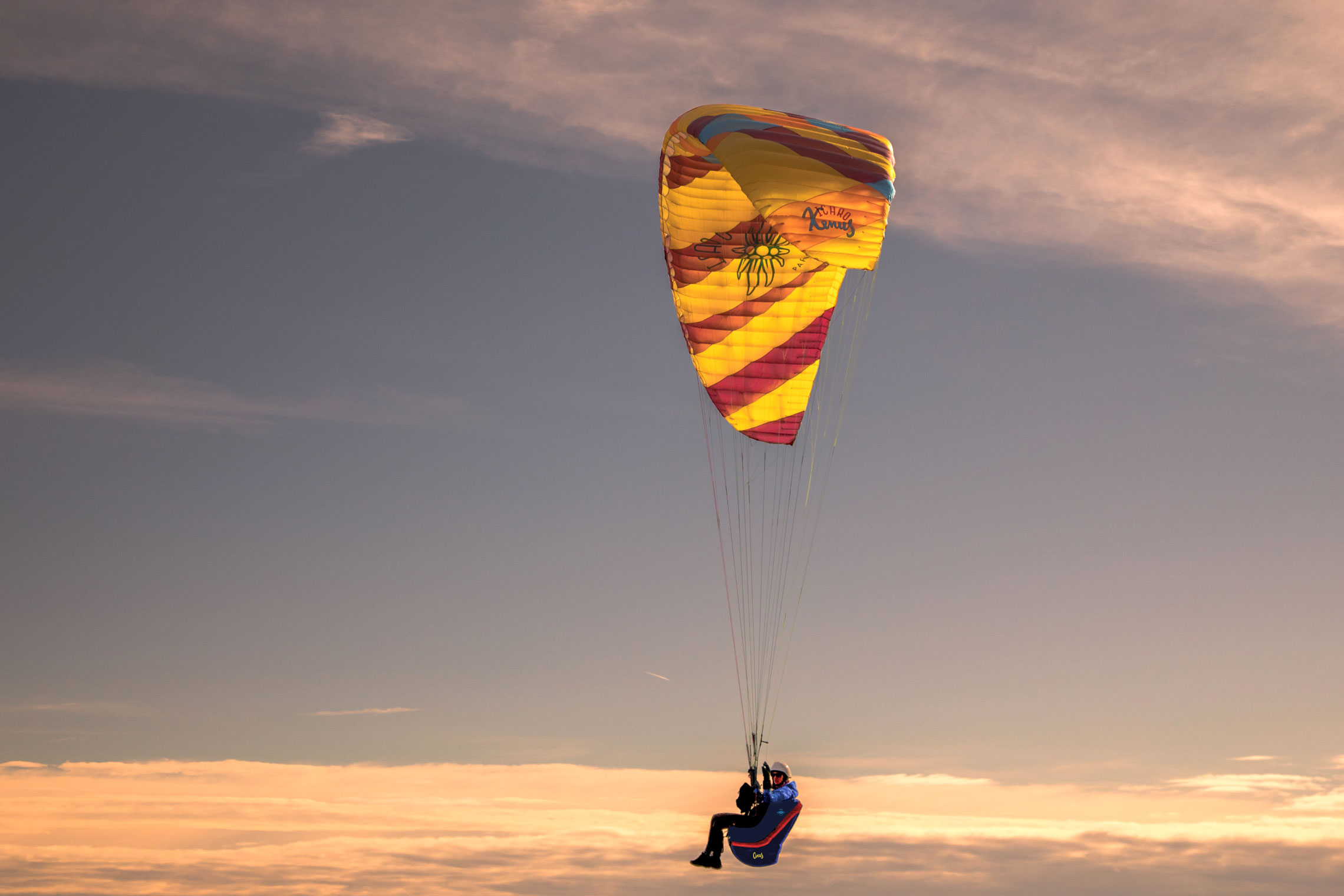 XENUS Freestyle Icaro - Image 6