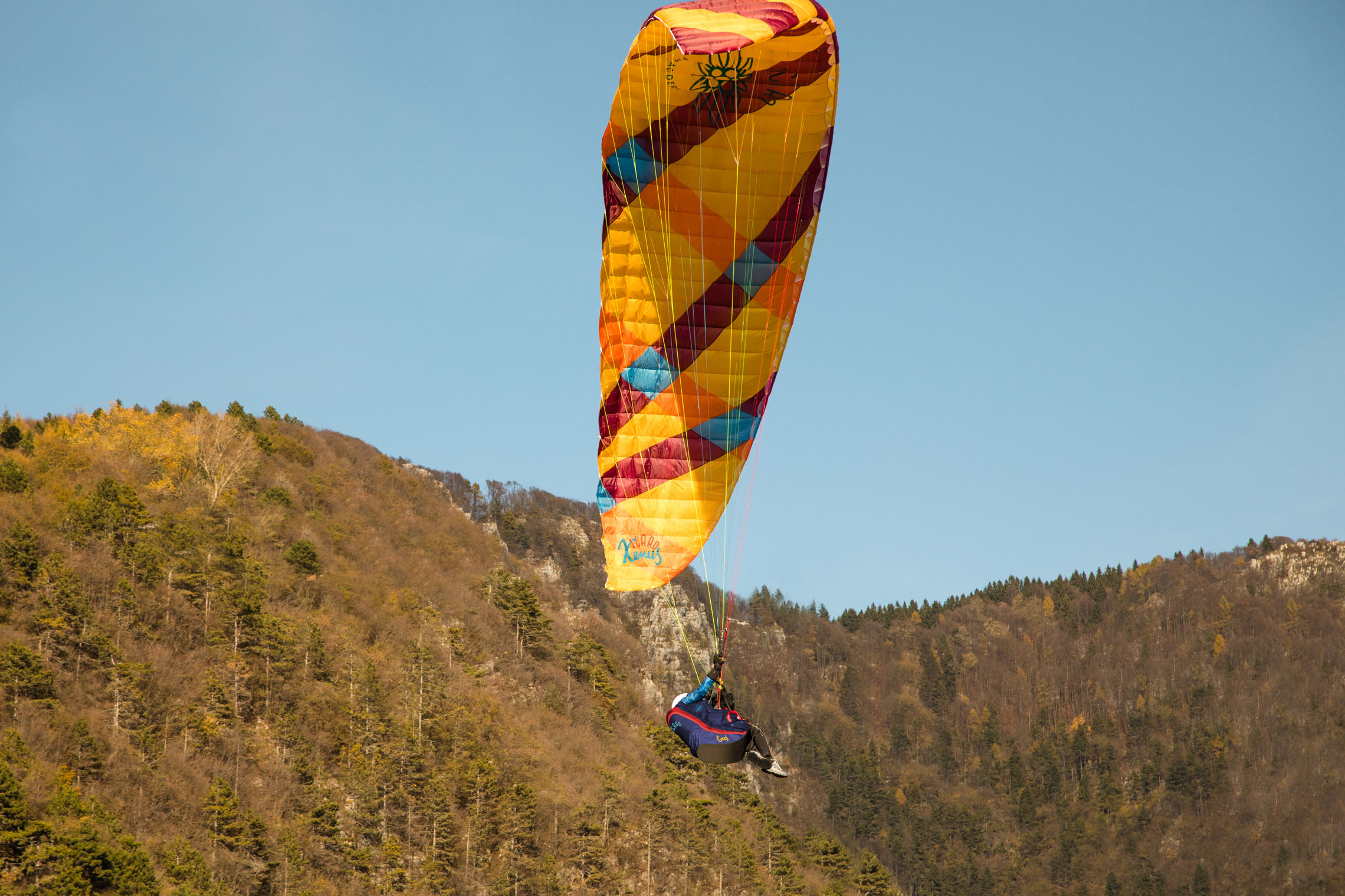 XENUS Freestyle Icaro - Image 4