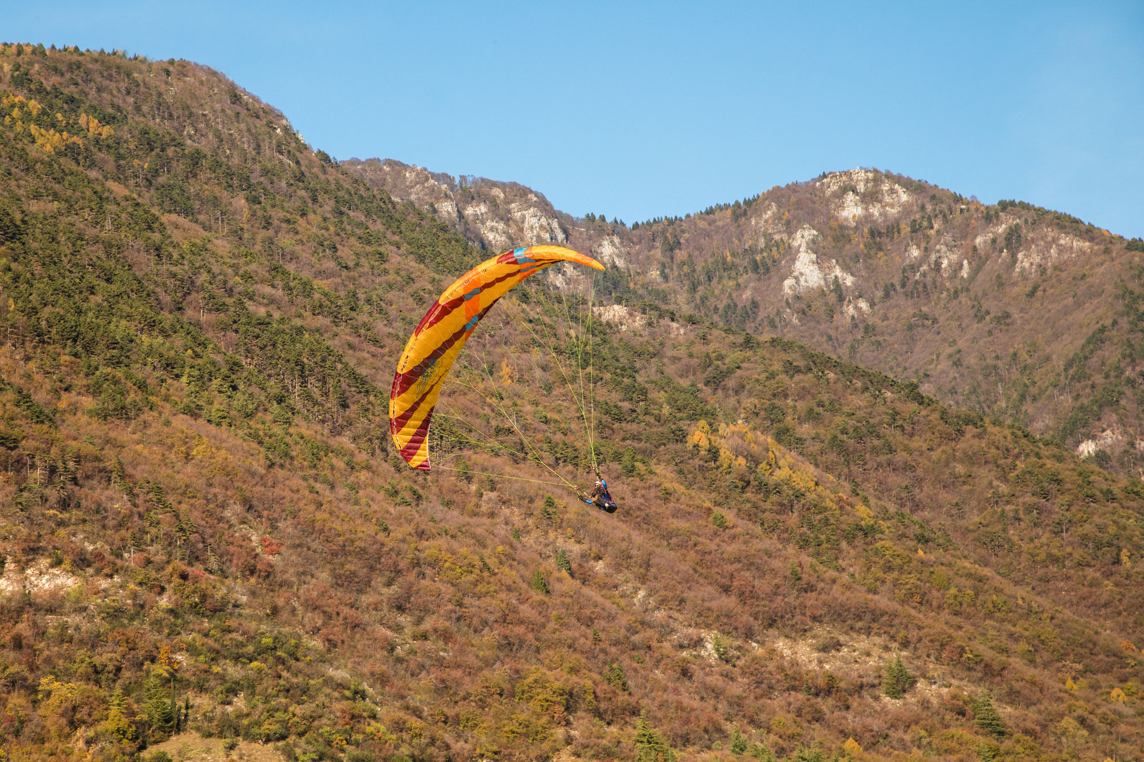 XENUS Freestyle Icaro - Image 3