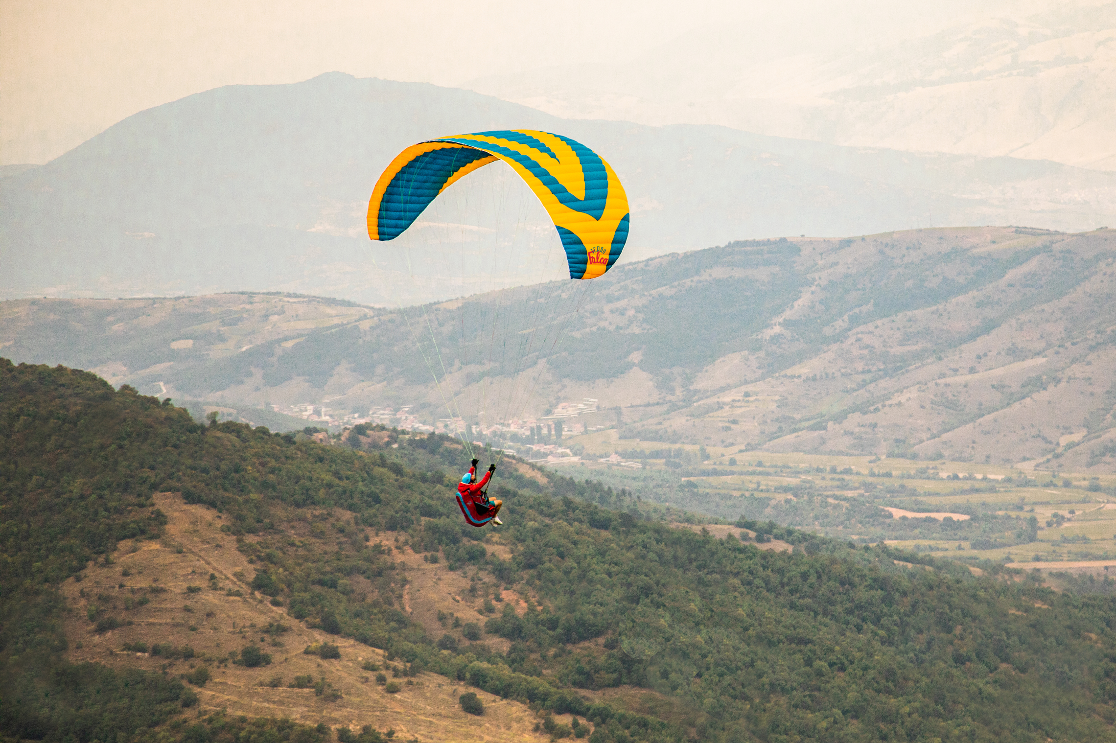 Falco Icaro - Image 2