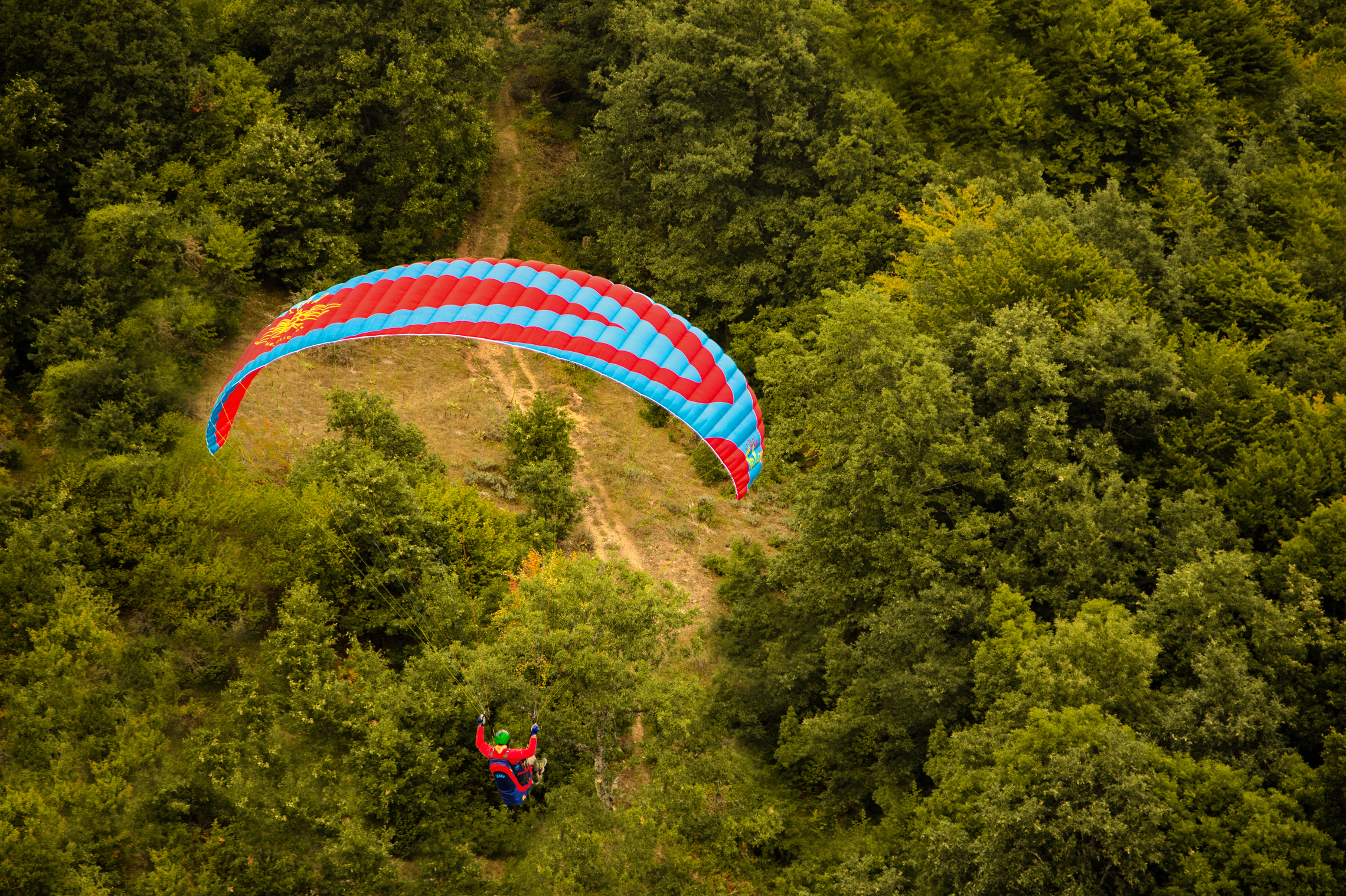 Falco Icaro - Image 5