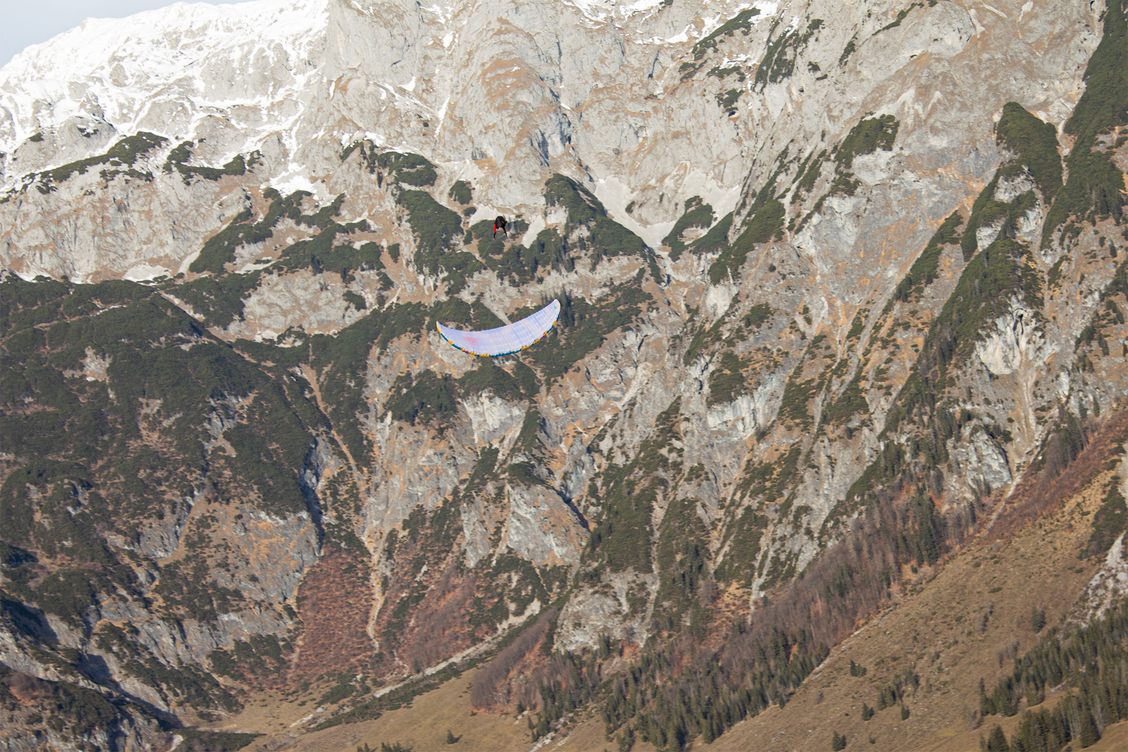 NIKITA 5 icaro - Image 3