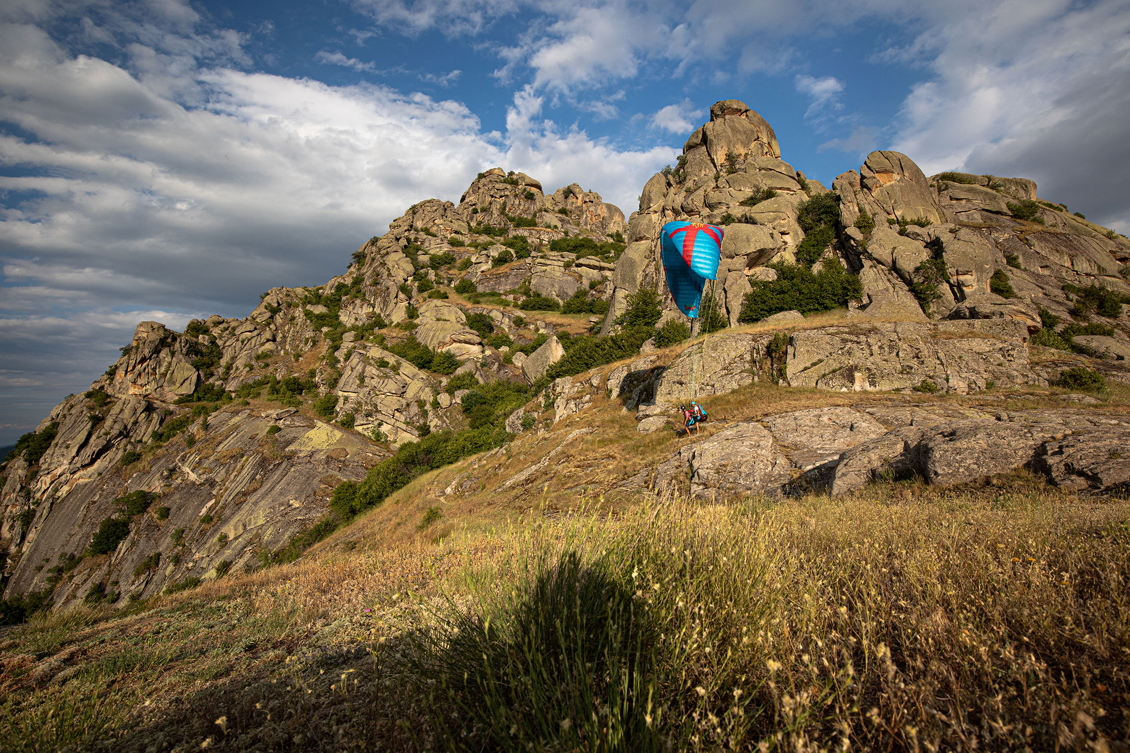 Parus² Tandem Icaro - Image 3