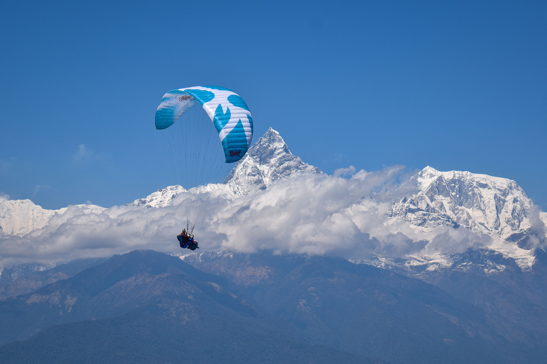 Parus² Tandem Icaro - Image 7