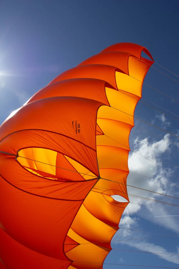 NG Rescue parachutes - Image 5
